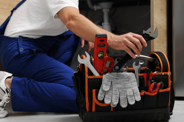 Best Clogged Drain Plumber  in Alsip, IL